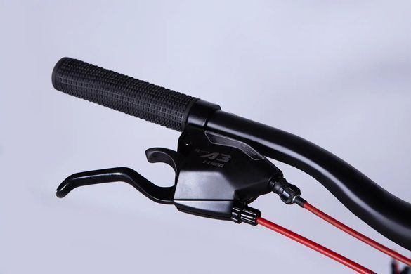 Велосипед 29" Discovery BASTION DD CS 2025, Сіро-помаранчевий, 21" (185-200 см)