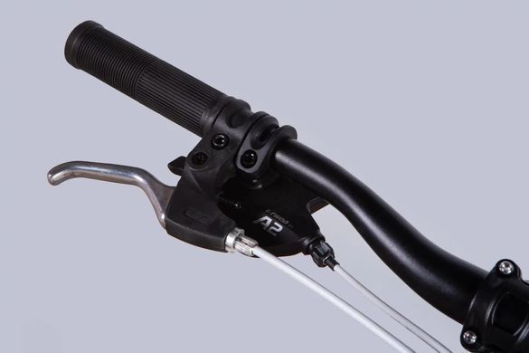 Велосипед 24" Discovery FLINT DD FR 2025, Рожевий, 12"