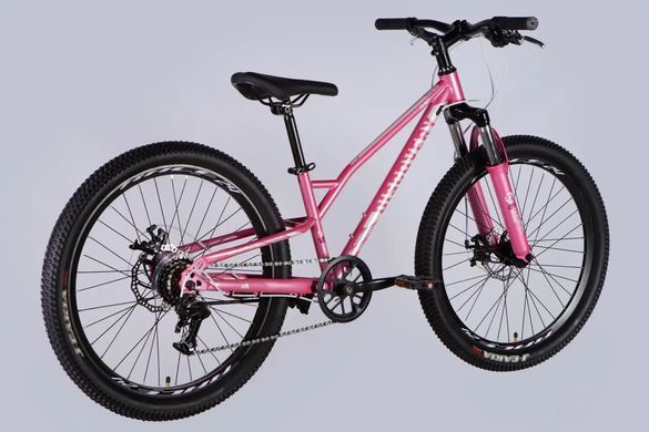 Велосипед 24" Discovery FLINT DD FR 2025, Рожевий, 12"