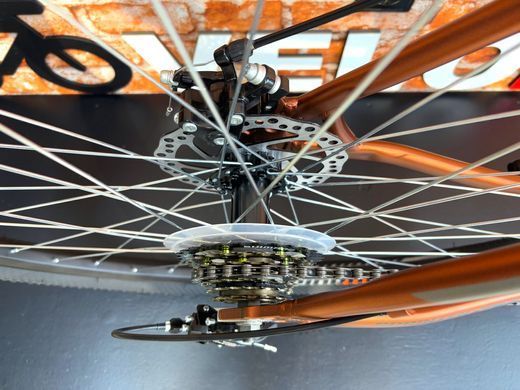 Велосипед Avanti SPRINTER 29" ER, Коричневий, 17" (165-180 см)