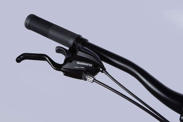 Велосипед 29" Formula DRAGONFLY AM DD 2025, Чорно-зелений, 16" (160-180 см)