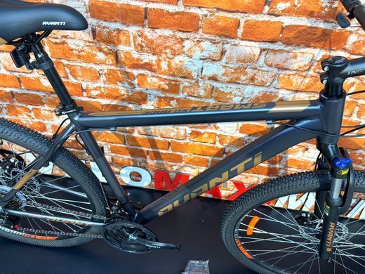 Велосипед Avanti Smart 29 ER, Сіро-жовтий, 21" (185-200 см)